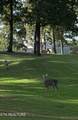 170 Baltusrol Rd - Photo 38