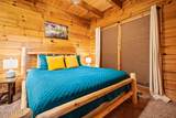 419 Sassafras Tr - Photo 11