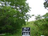  Mica Court Lot #160 - Photo 4