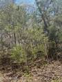 lot 3 Jones Ridge Rd - Photo 3
