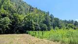  Carrs Creek   14 Acres Rd - Photo 6