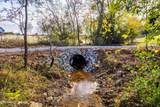 426 Keeble Rd - Photo 8