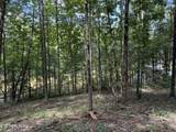 159 Bat Creek Shores Lane - Photo 13