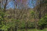 2 Cherohala Skyway - Photo 10