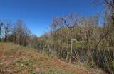 2 Cherohala Skyway - Photo 15