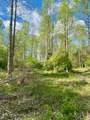  Friendship Hollow Rd - Photo 11