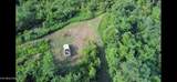 442 Billingsley Rd Rd - Photo 5