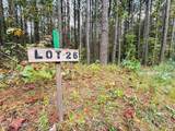  Lot 26 Airport Rd - Photo 3