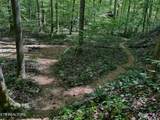 755 Bear Branch Rd - Photo 21