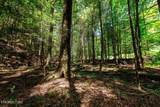 755 Bear Branch Rd - Photo 23