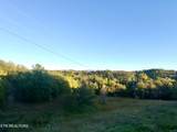 841 Guffy Hollow Rd - Photo 3