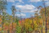 00 Buffalo Rd - Photo 42