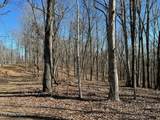 2908 Old Dogwood Tr - Photo 17