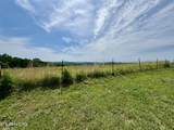 297 Mountain Meadows Drive - Photo 11