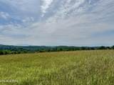 297 Mountain Meadows Drive - Photo 12
