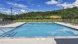 8806 Chapman Trace Way - Photo 19