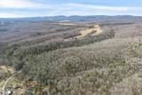 60.6 Acres Dogwood Rd - Photo 10