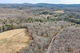60.6 Acres Dogwood Rd - Photo 11