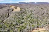 60.6 Acres Dogwood Rd - Photo 12