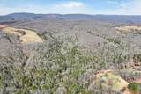 60.6 Acres Dogwood Rd - Photo 13