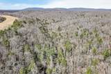 60.6 Acres Dogwood Rd - Photo 15