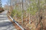 60.6 Acres Dogwood Rd - Photo 9