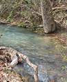 118 Wolf Creek Rd - Photo 3