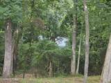 Lot 237 Shore Drive - Photo 7