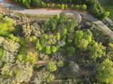 140 Tumbleweed Tr - Photo 12