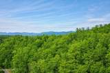 Lot 41 Black Maple Way - Photo 8