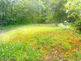 0 Paradise Ridge Drive - Photo 3