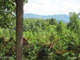 1695 Cane Creek Mountain Rd - Photo 10