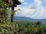 1695 Cane Creek Mountain Rd - Photo 9