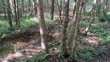  Airport Rd - Lot 4 (Pca) - Photo 8