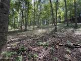 159 Bat Creek Shores Lane - Photo 22