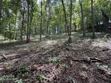 159 Bat Creek Shores Lane - Photo 23