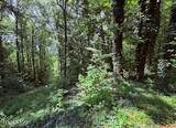  Bates Gibson Rd - Photo 8