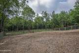 3834 Smith Mountain Rd - Photo 45