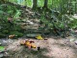 755 Bear Branch Rd - Photo 37