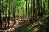 755 Bear Branch Rd - Photo 41