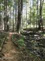 755 Bear Branch Rd - Photo 43