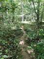 755 Bear Branch Rd - Photo 44