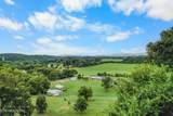 1711 Walnut Hill Lane - Photo 45