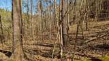  Carrs Creek   14 Acres Rd - Photo 12