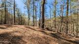  Carrs Creek   14 Acres Rd - Photo 9