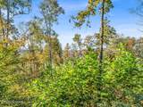  Friendship Hollow Rd - Photo 10
