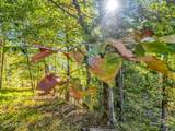  Friendship Hollow Rd - Photo 13