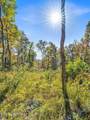  Friendship Hollow Rd - Photo 8