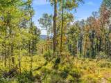  Friendship Hollow Rd - Photo 9