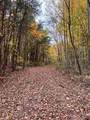 1867 Big Ridge Rd - Photo 6